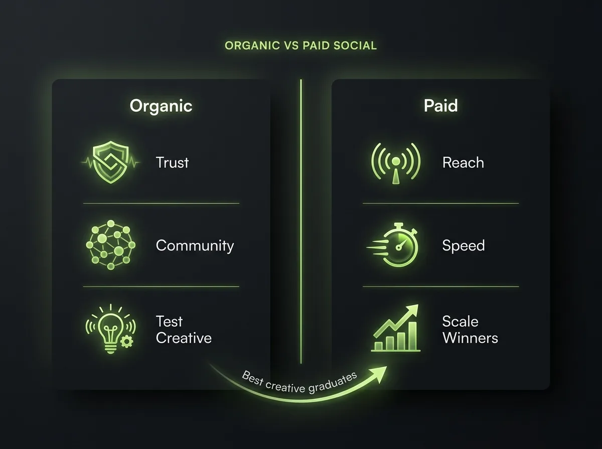 Organic versus paid social comparison showing trust and creative testing on one side, reach and scale on the other, with winners graduating to paid