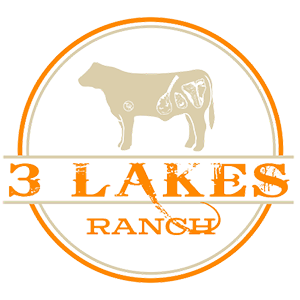 3_lakes_ranch_logo
